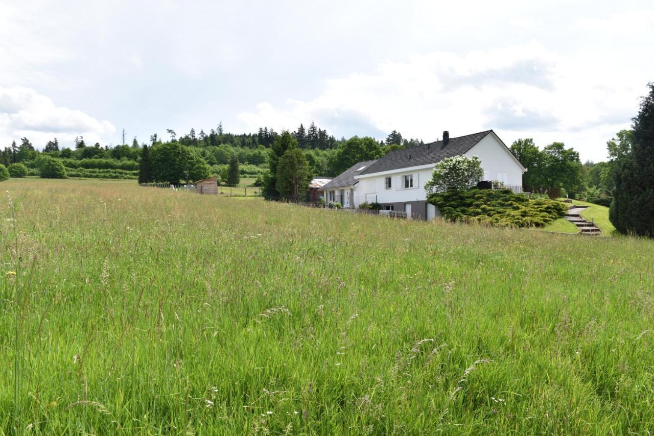 Au Gres Des Vosges Villa Remoneix Bagian luar foto